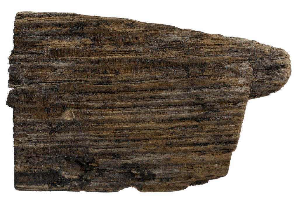 Detail of Wood by unknown