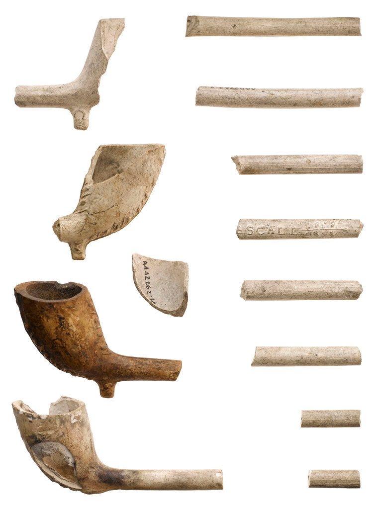 Detail of Clay pipe by T. Pescall