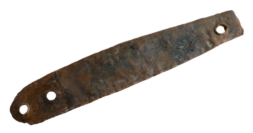 Detail of Copper plate by unknown