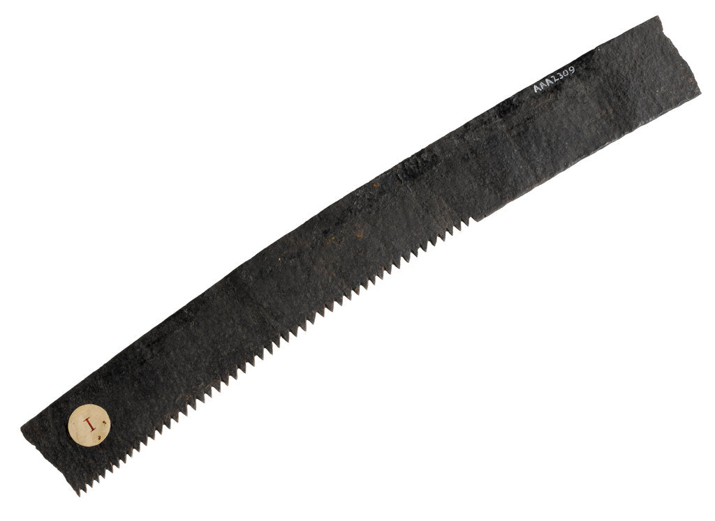 Detail of Saw by unknown