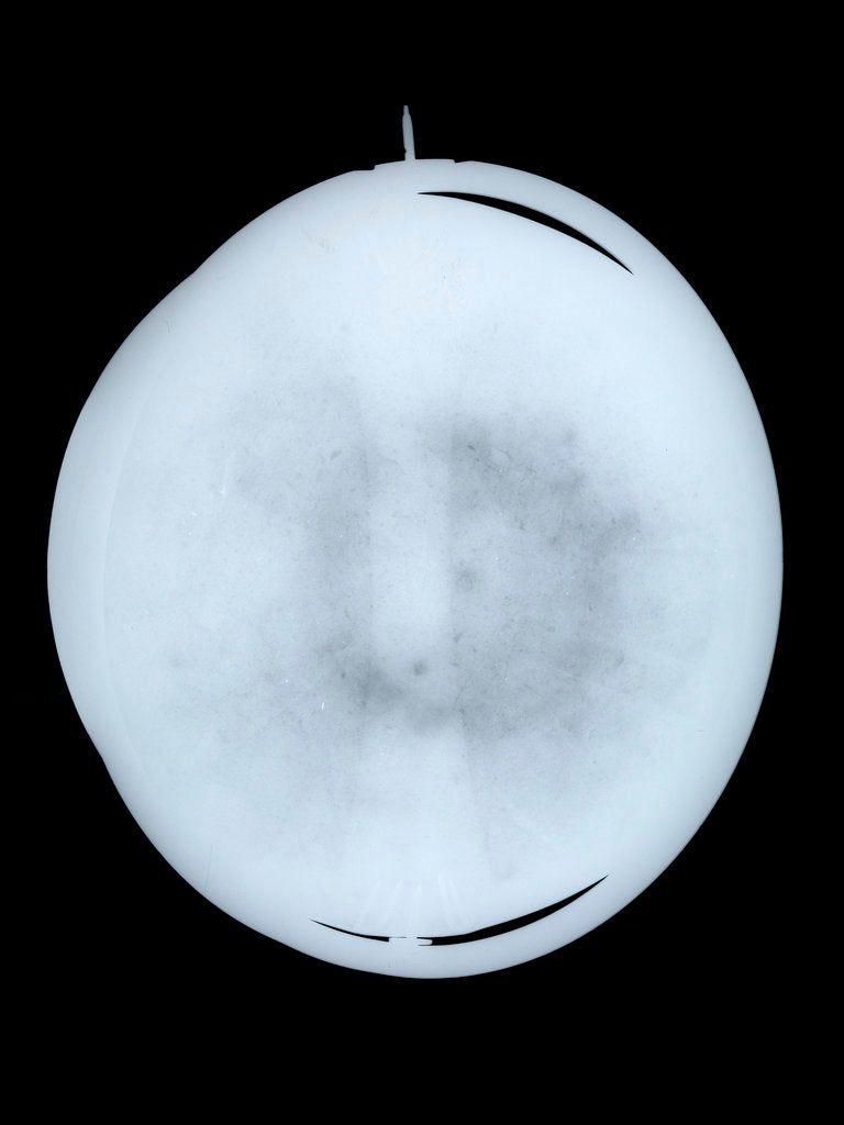 Detail of Globe x-ray by Willem Jansz Blaeu