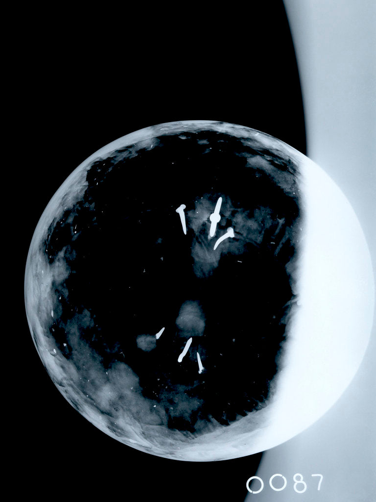 Detail of Globe x-ray by Johann Gabriel Doppelmayr