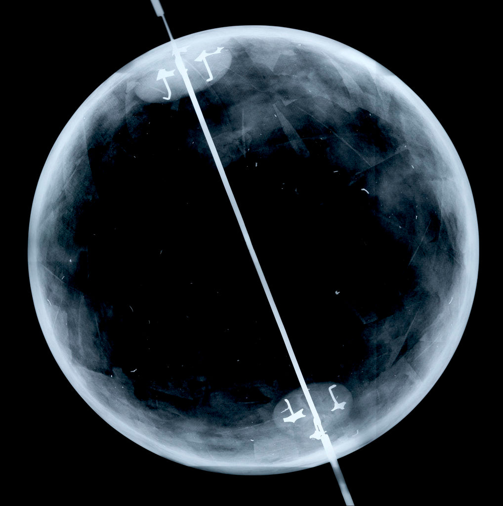Detail of Globe x-ray by Gerard Mercator