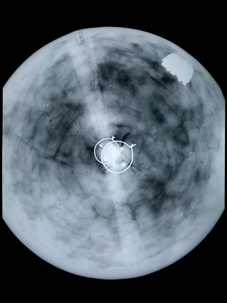 Detail of Globe x-ray by Jodocus Hondius