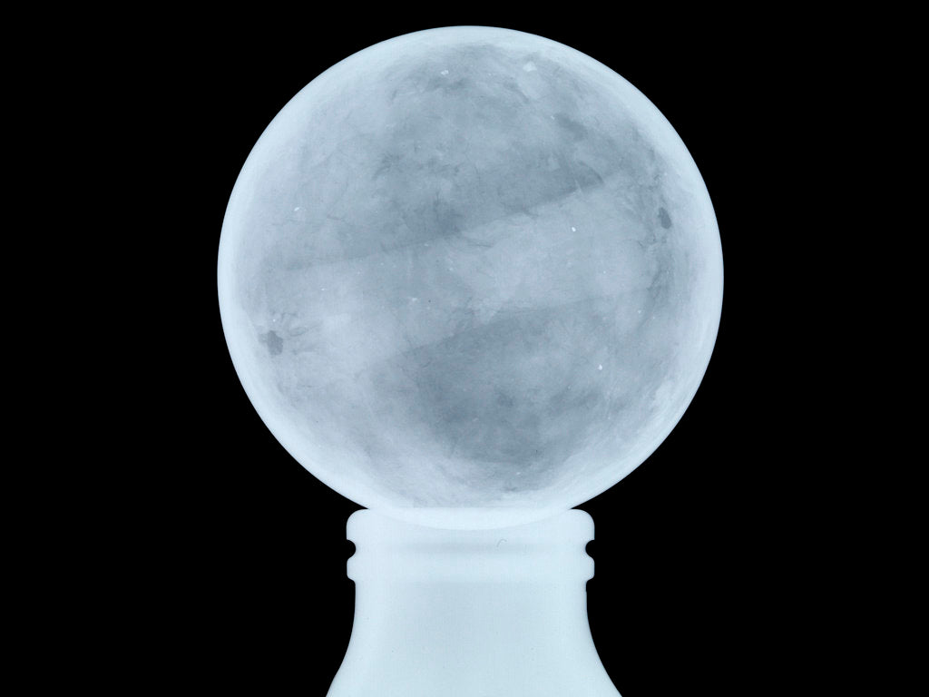 Detail of Globe x-ray by Moll