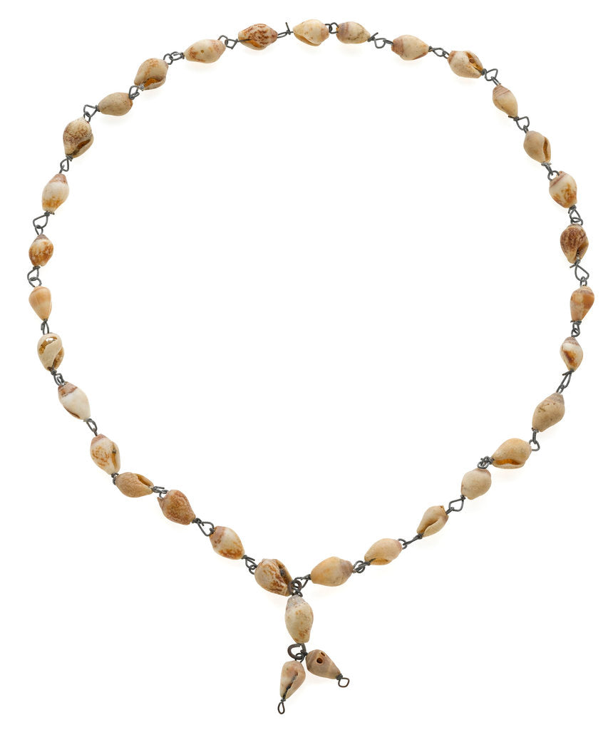 Detail of Cowrie shell necklace joined with metal links by unknown