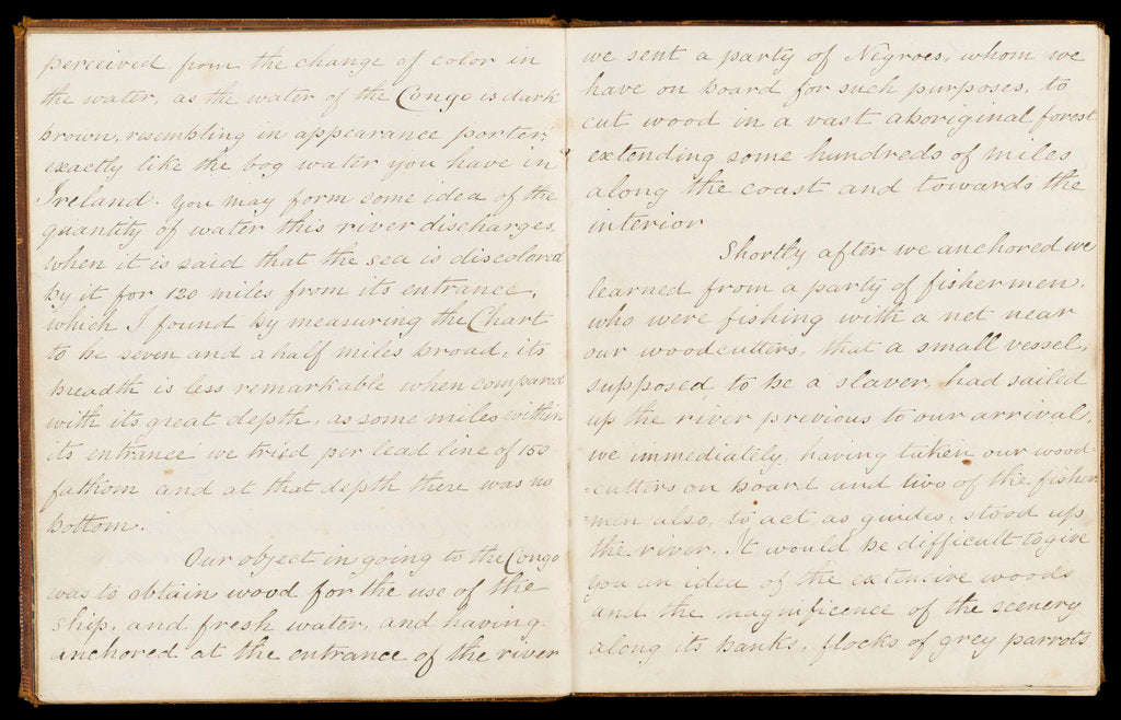Detail of Journal of Dr McIlroy, RN, 1844 by unknown