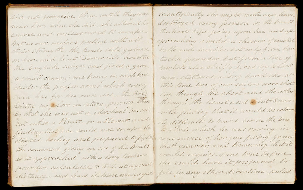 Detail of Journal of Dr McIlroy, RN, 1846 by unknown