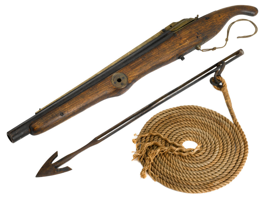 Detail of Whaling harpoon gun by W.W. Greener