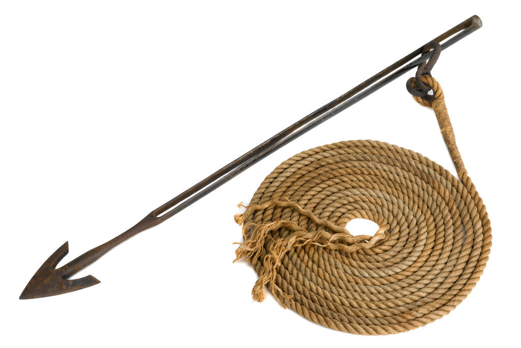 Detail of Whaling harpoon gun by W.W. Greener