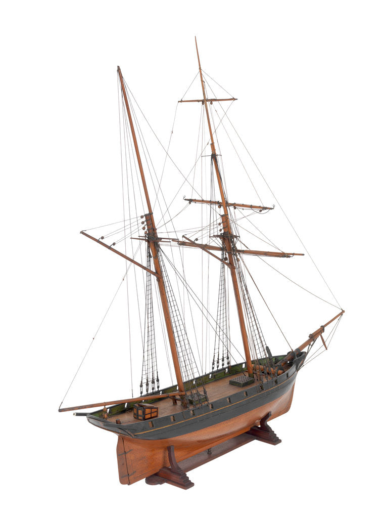 Detail of Armed schooner 'Globe' 1840 by unknown