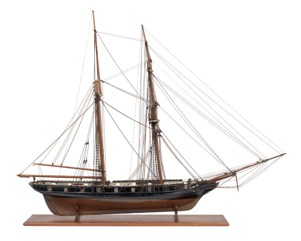 Detail of Brigantine, 10-12-guns by unknown