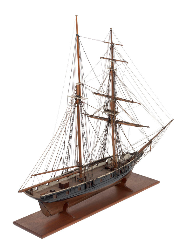 Detail of Brigantine, 10-12-guns by unknown