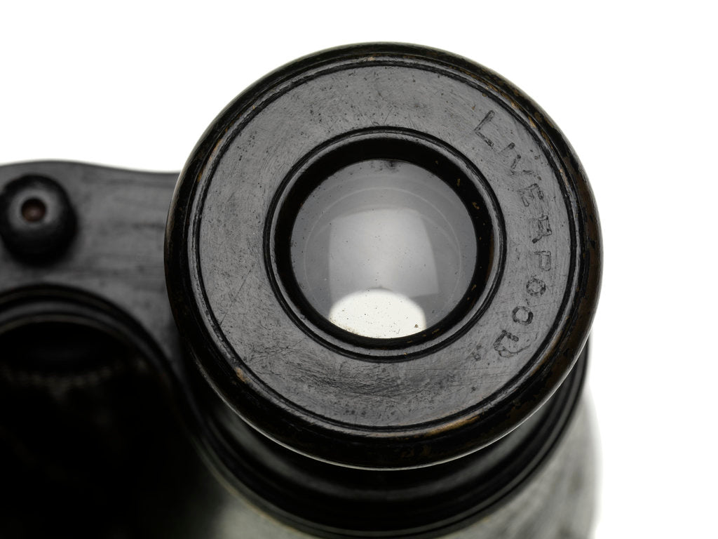 Detail of Binoculars by William Gerrard