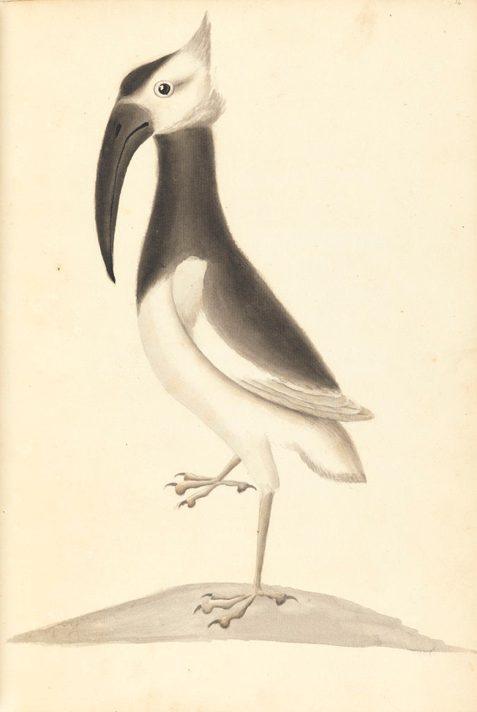 Detail of Plate from 'A Narrative of Commodore Anson's into the Great South Sea and Round the World' by unknown