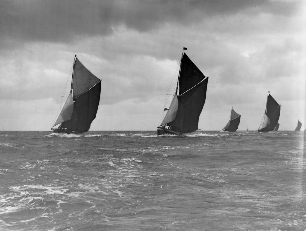 Detail of The Spritsail Barge Race, 1903 by Anonymous