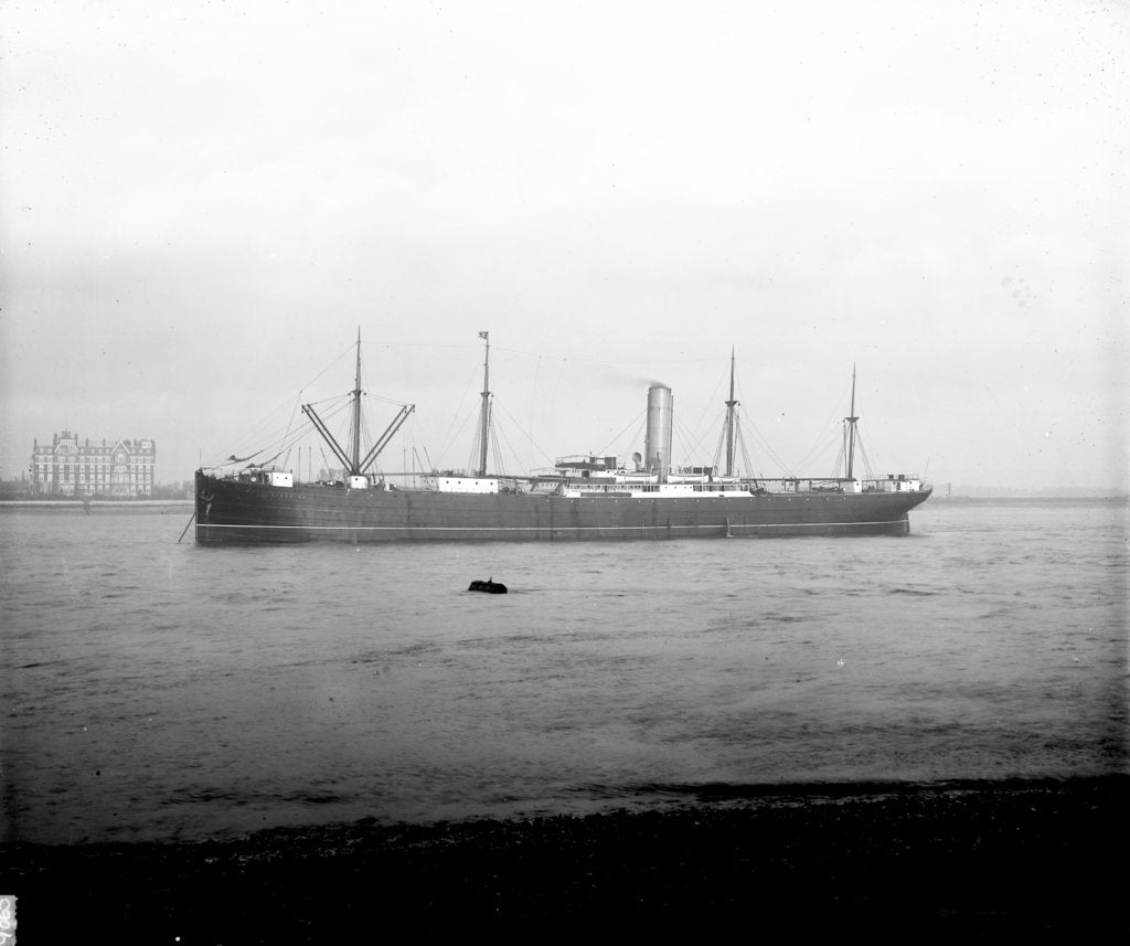 Detail of 'Ayrshire' (Br, 1903) anchored on the River Thames at Tilbury by unknown