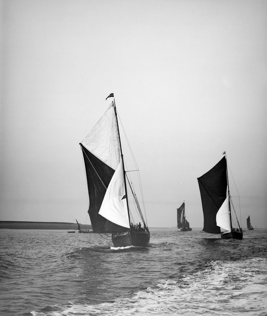 Detail of Sailing barge 'Sirdar' (Br, 1898) racing with other barges in the 1899 Thames Barge Match by Anonymous