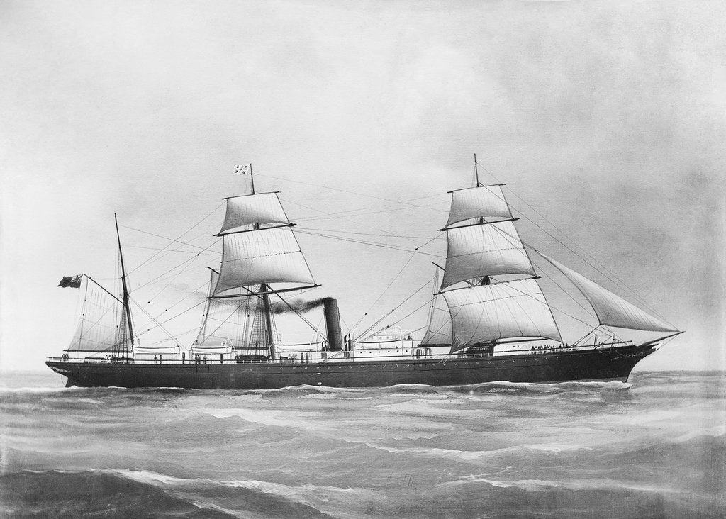 Detail of 'Cuzco' (1871) by F. C. Gould & Son
