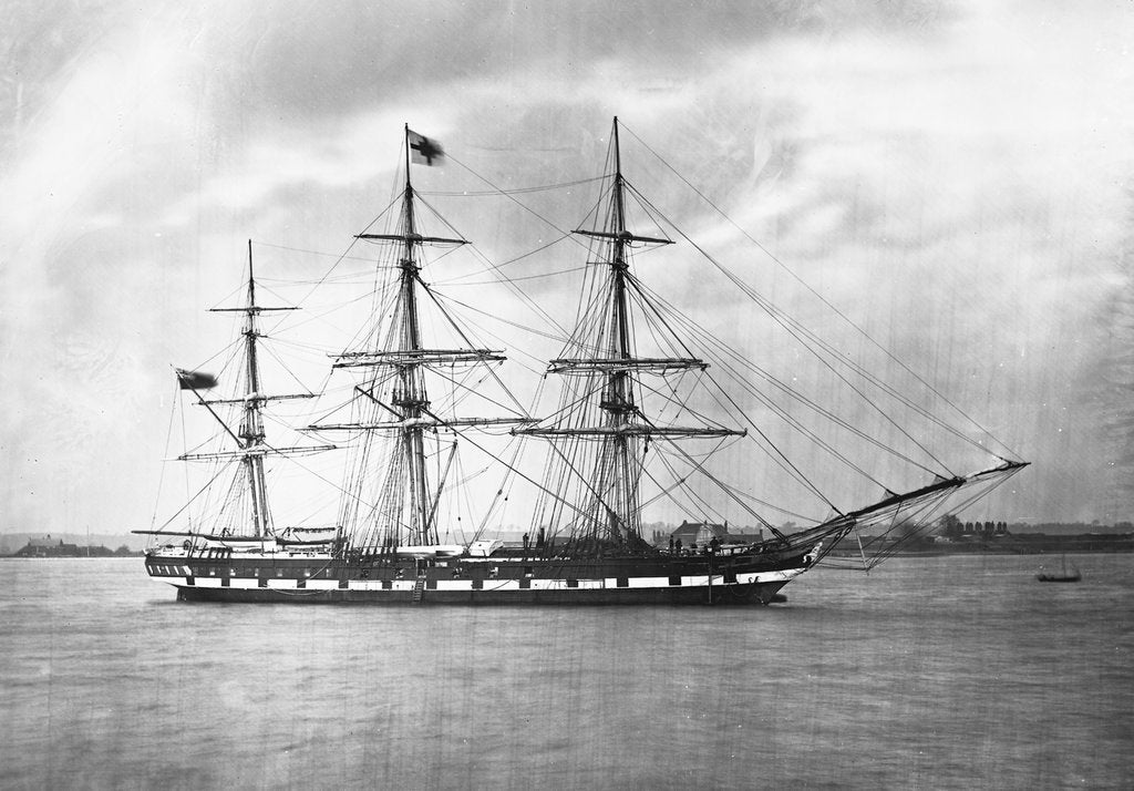 Detail of 'Suffolk' (Br, 1857) by unknown