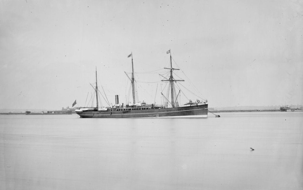 Detail of 'Sultan' (Br, 1873) by unknown