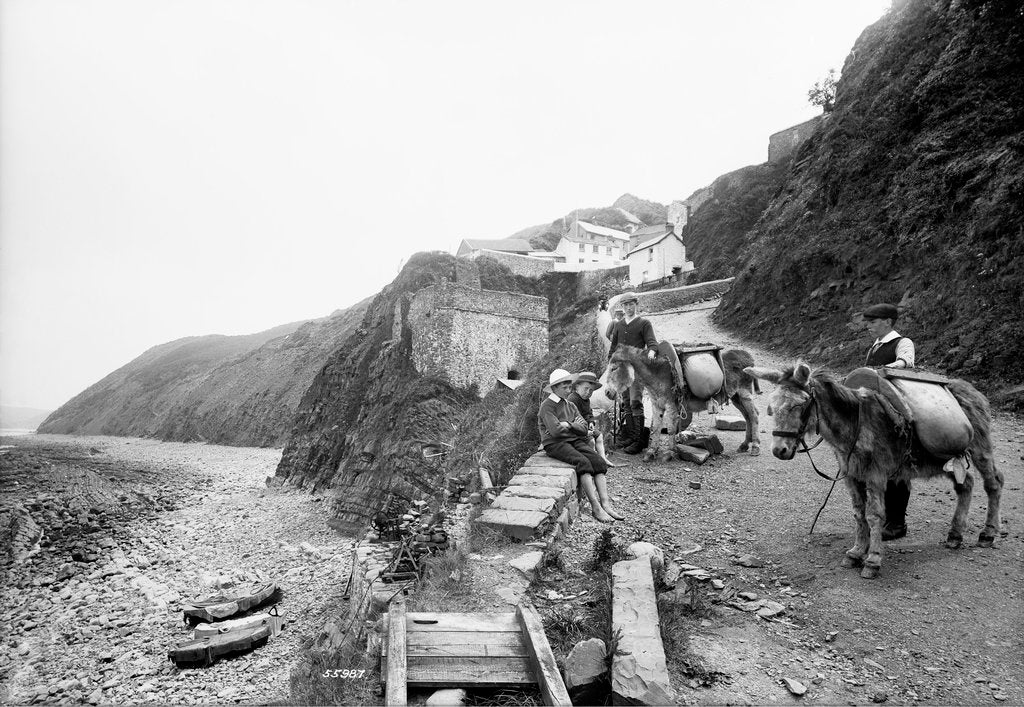Detail of Pack donkeys, Bucks Mills, Devon by Francis Frith & Co.