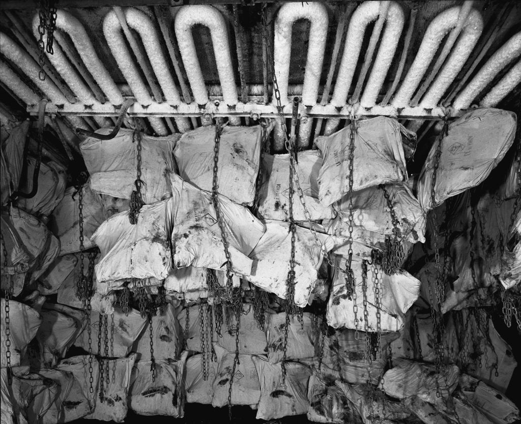 Detail of Frozen meat in the hold of the 'Highland Rover' (1910) by Bedford Lemere & Co.