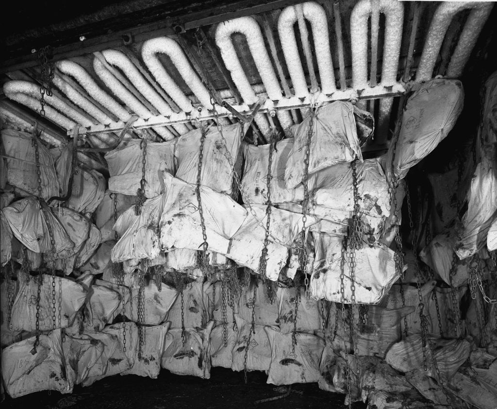 Detail of Frozen meat in the hold of the 'Highland Rover' (1910) by Bedford Lemere & Co.