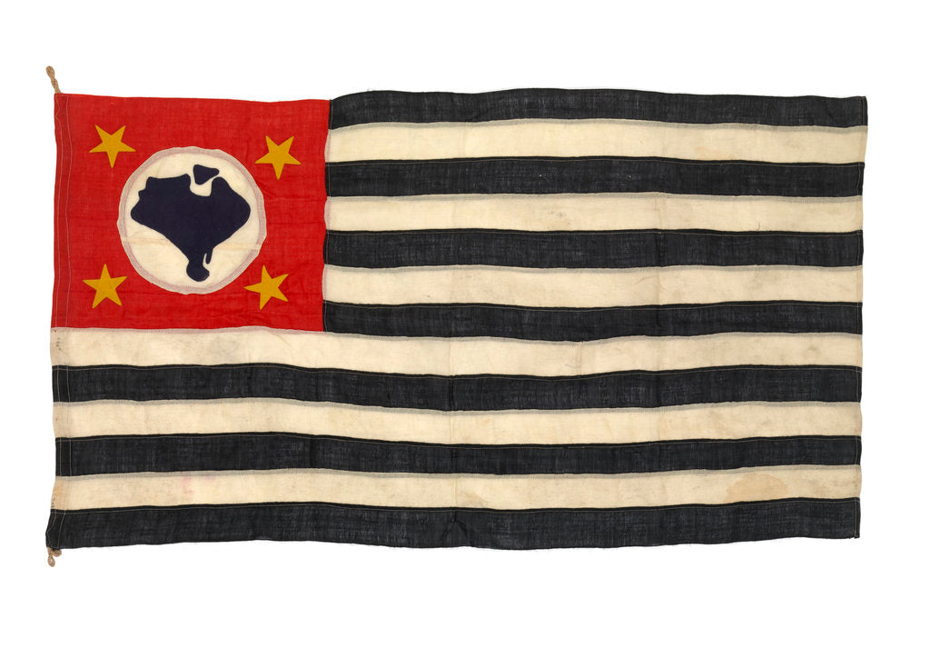 Detail of Regional flag, Sao Paulo by unknown