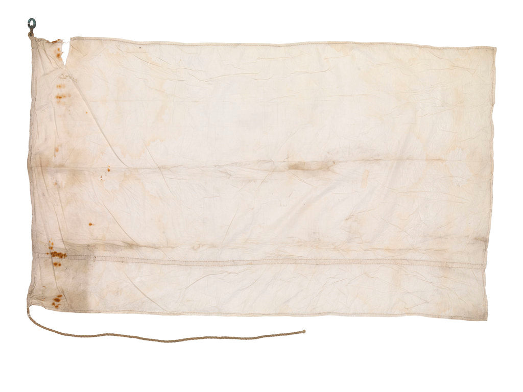 Detail of White Flag of Antarctica by unknown