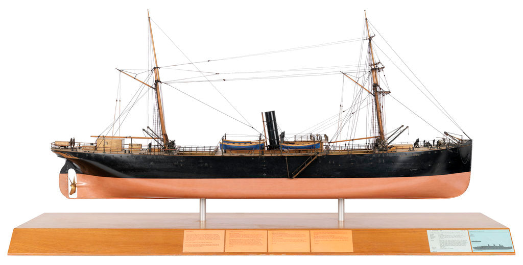 Detail of Albatross by unknown