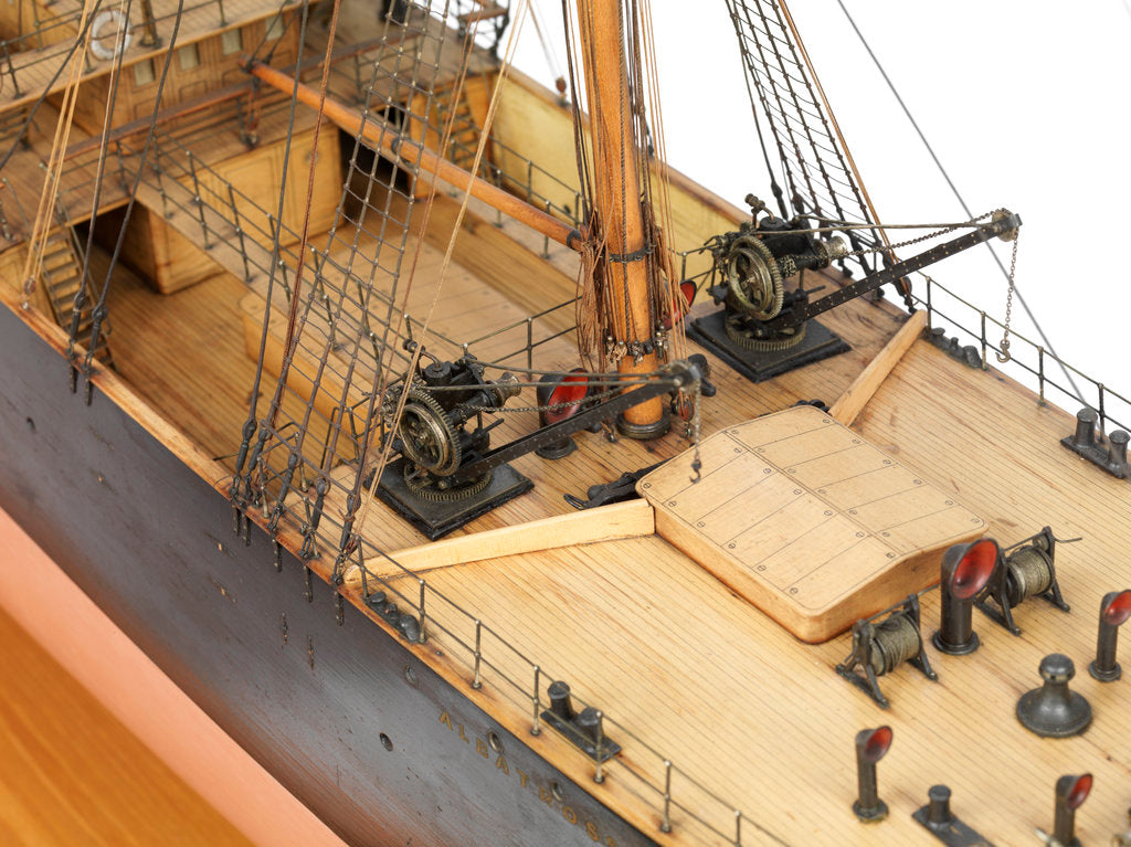 Detail of Albatross by unknown