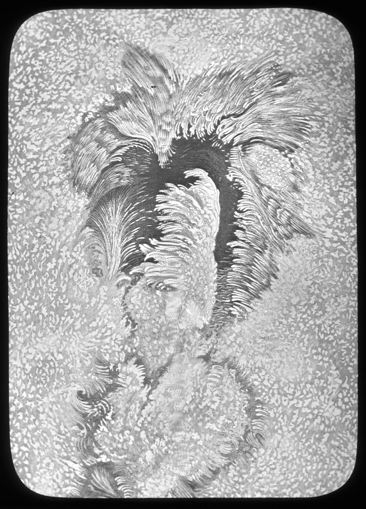 Detail of Lantern slide by York & Son