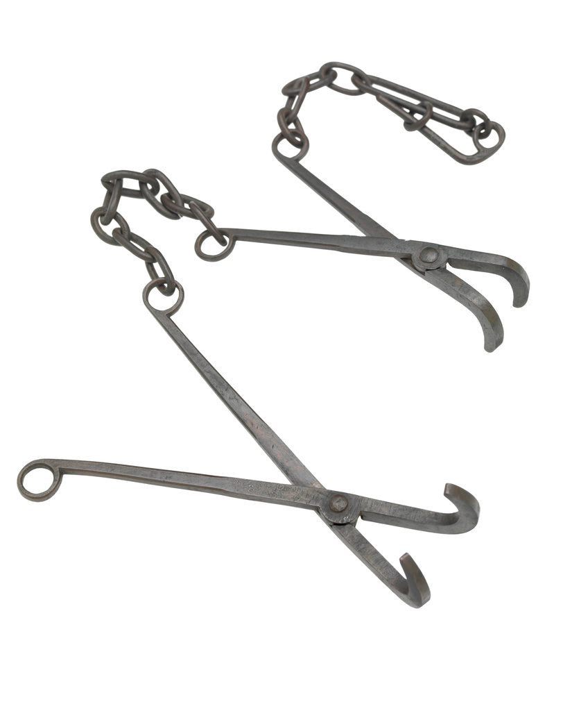 Detail of Chain nipper and quick release by unknown
