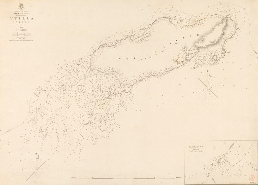 Detail of West Indies Mosquito Coast Utilla Island surveyed by Commander R. Owen 1835 by British Admiralty