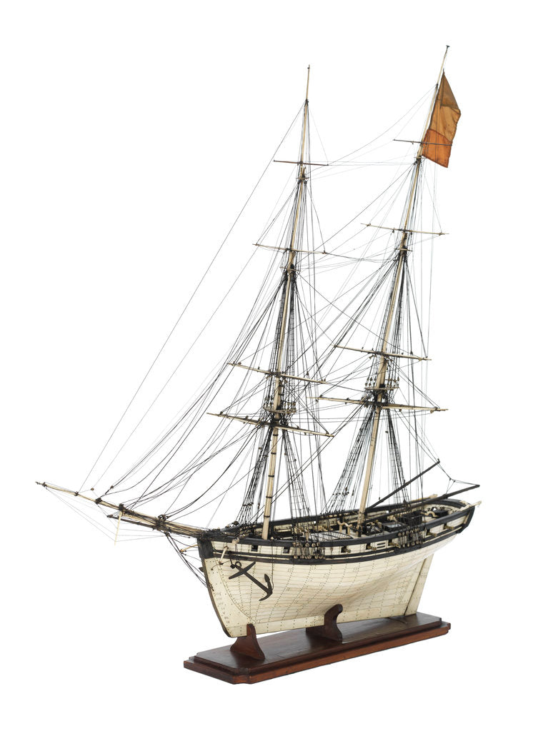 Detail of Brig Warship, 14 gun 'Joan D'Arc' (1800) by unknown