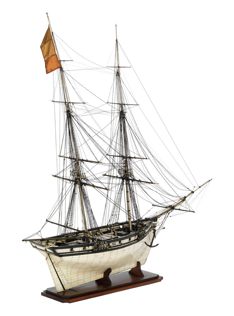 Detail of Brig Warship, 14 gun 'Joan D'Arc' (1800) by unknown