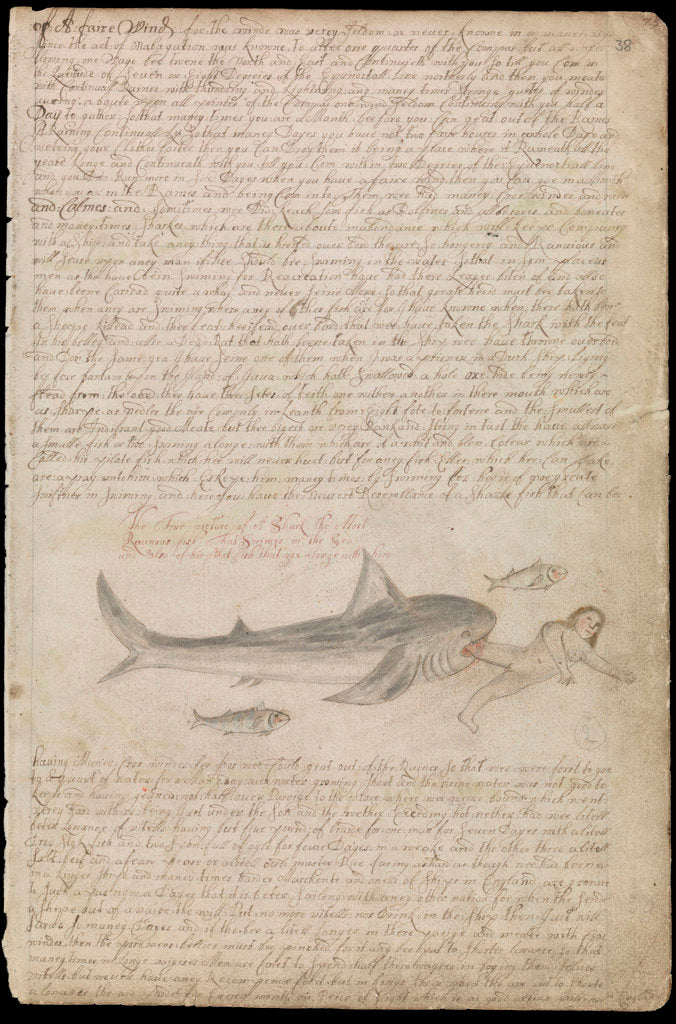 Detail of Plate from Edward Barlow's journal of his life at sea in king's ships, East & West Indiamen & other merchantmen from 1659 to 1703. by Edward Barlow