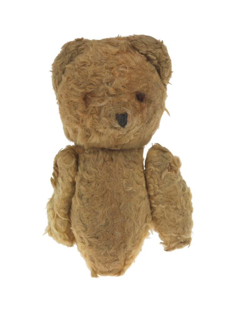 Detail of 'Humphrey' teddy bear mascot by unknown