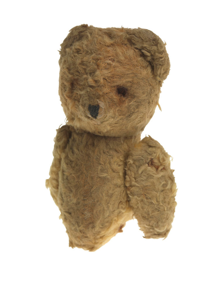 Detail of 'Humphrey' teddy bear mascot by unknown