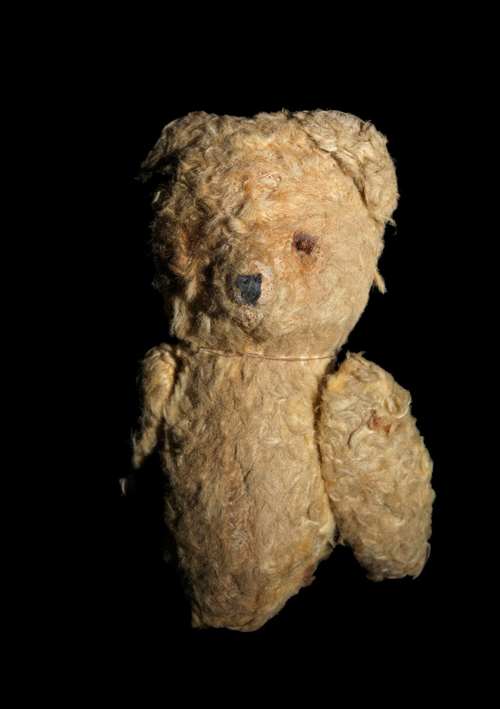 Detail of 'Humphrey' teddy bear mascot by unknown