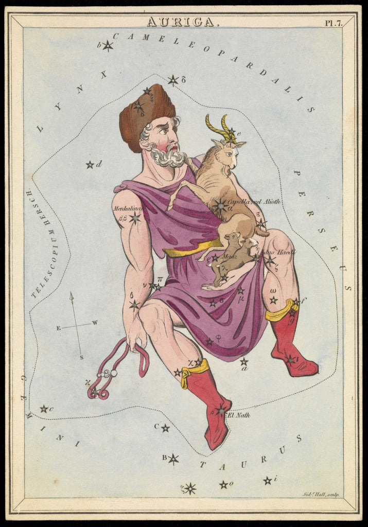 Detail of Auriga by Sidney Hall