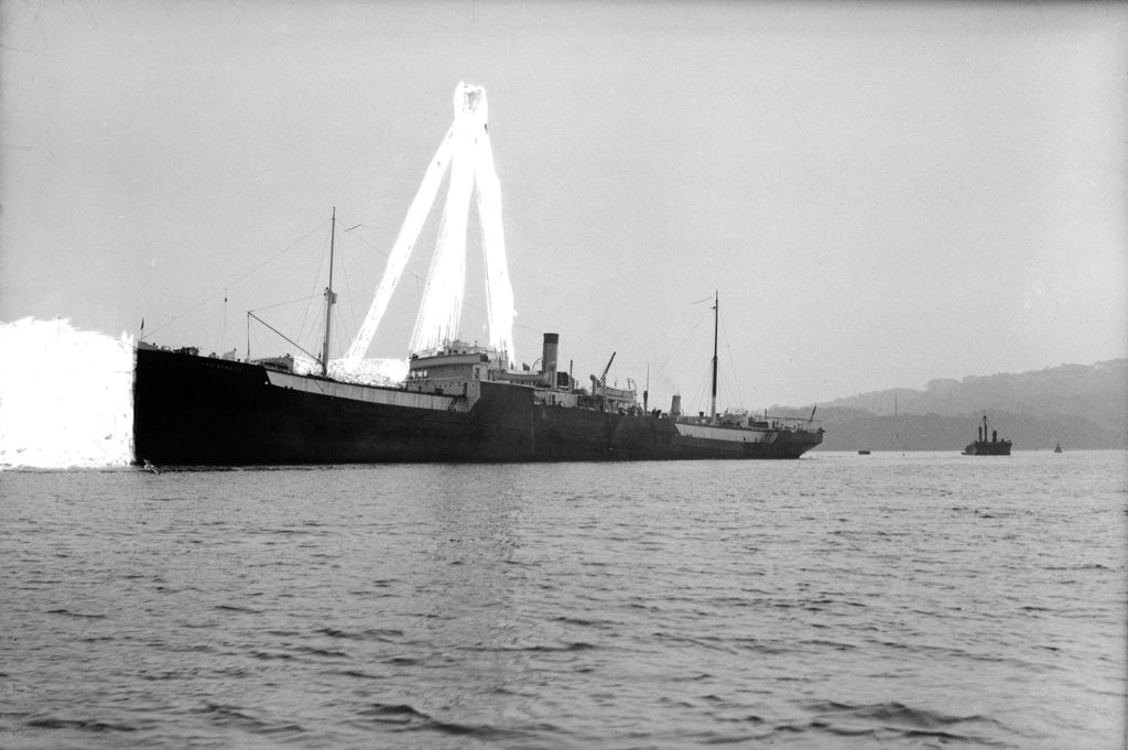 Detail of Photograph of 'War Hindoo' (1929), from Richard Perkins Collection by Richard Perkins