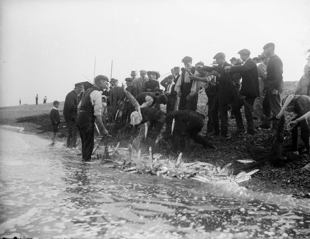 Detail of A catch coming ashore, somewhere on the south east coast, Tarry Adams Collection by unknown