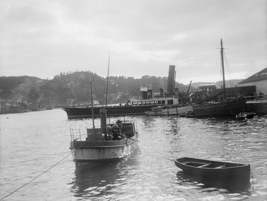 Detail of 'Fusilier' (Br, 1888) paddle steamer (West coast of Scotland services), David MacBrayne Ltd by unknown