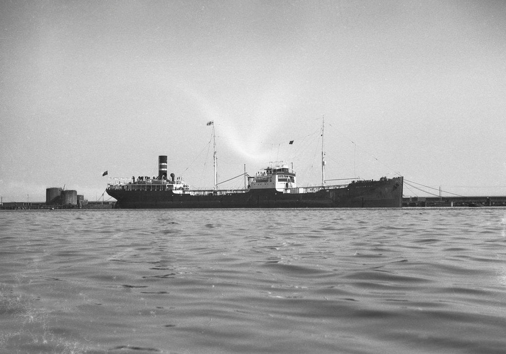 Detail of 'British Lord' (Br, 1922) berthed in Queens Dock, Swansea by unknown