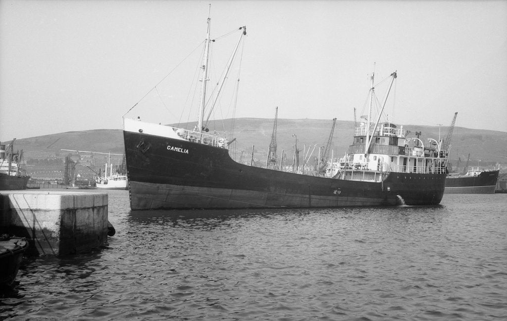 Detail of 'Camelia' (No, 1944) under way in Kings Dock, Swansea by unknown