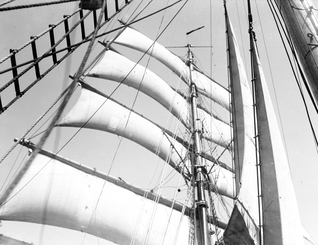 Detail of All aback! by Alan Villiers