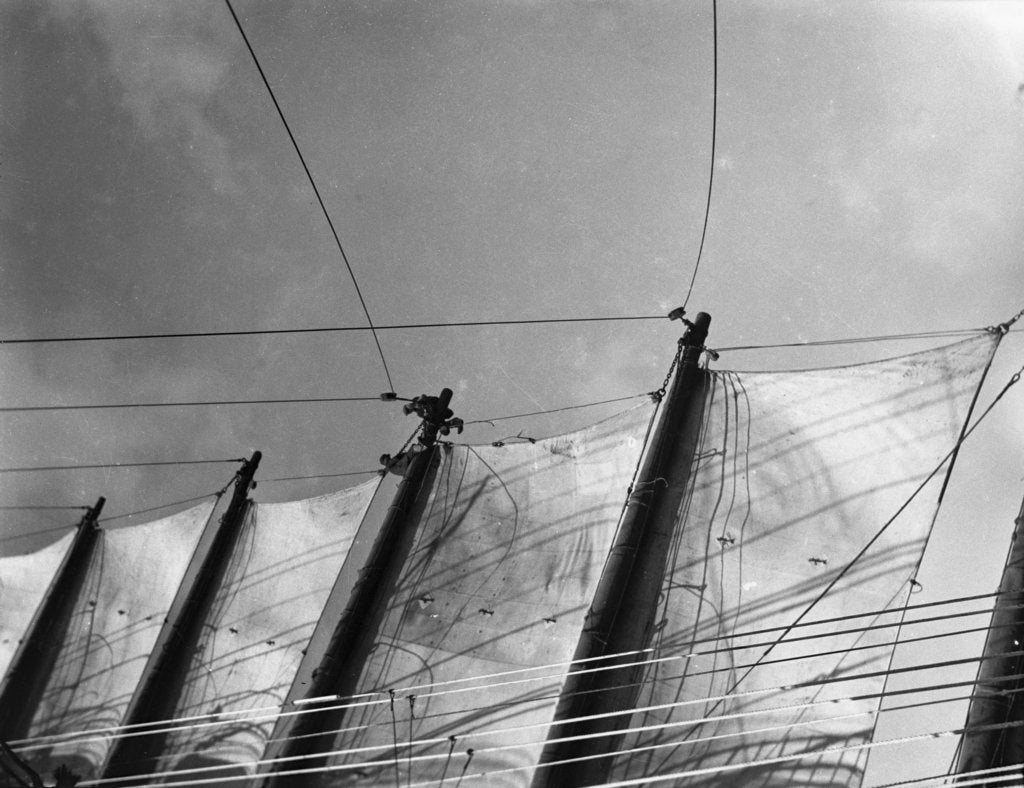 Detail of The 'Parma' (Fi, 1902) under sail by unknown