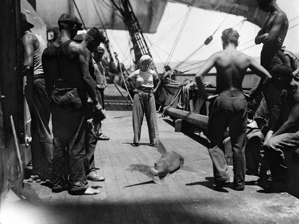 Detail of Shark on the main deck, caught by the crew by Alan Villiers